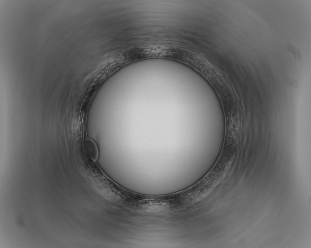 X0000113130601200909181711