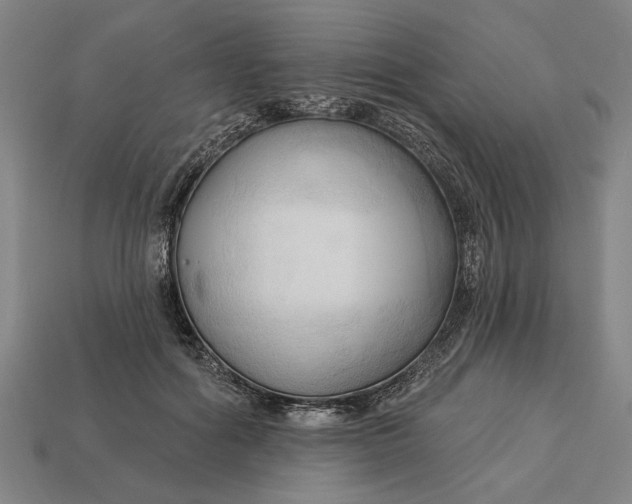 X0000113130602200909181711