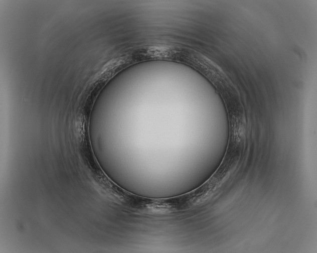 X0000113130603200909181711