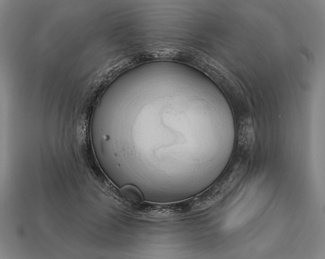 X0000113130604200909181711