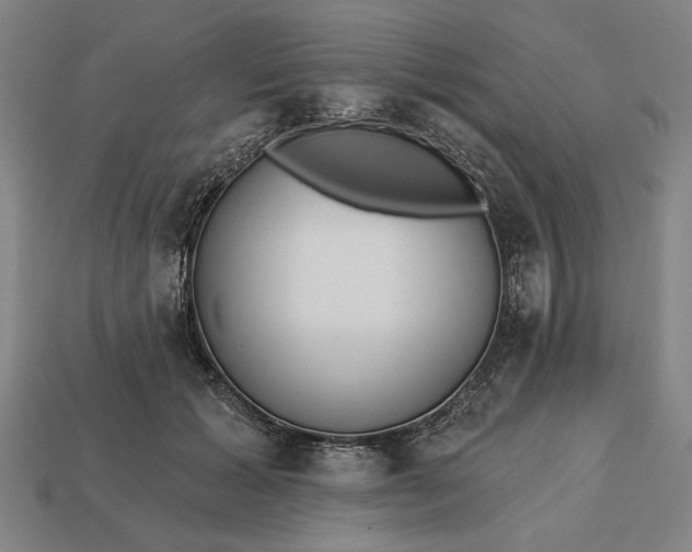 X0000113130605200909181711