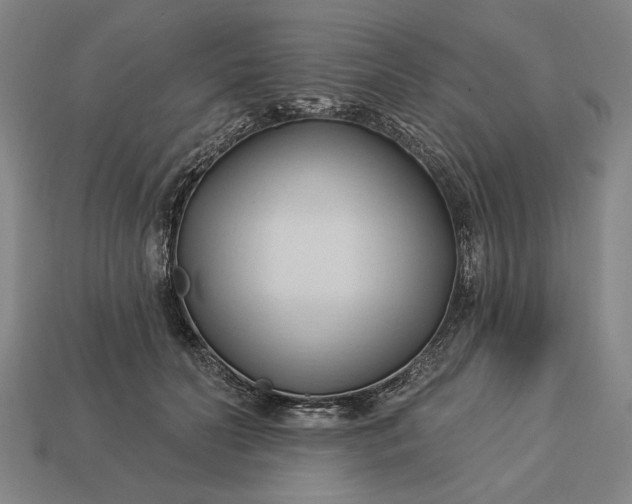 X0000113130606200909181711