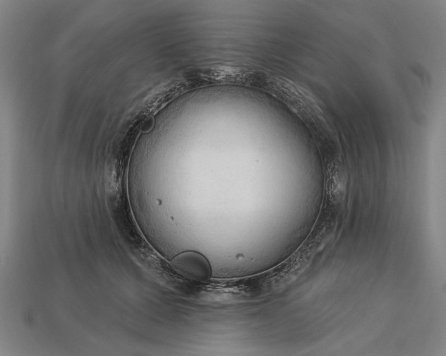 X0000113130607200909181711