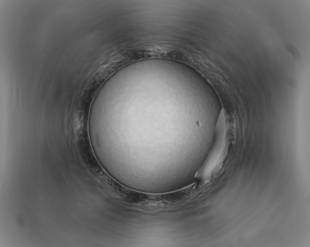 X0000113130608200909181711