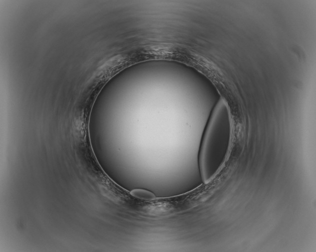 X0000113130609200909181711