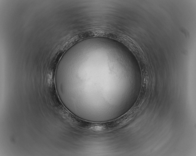 X0000113130610200909181711