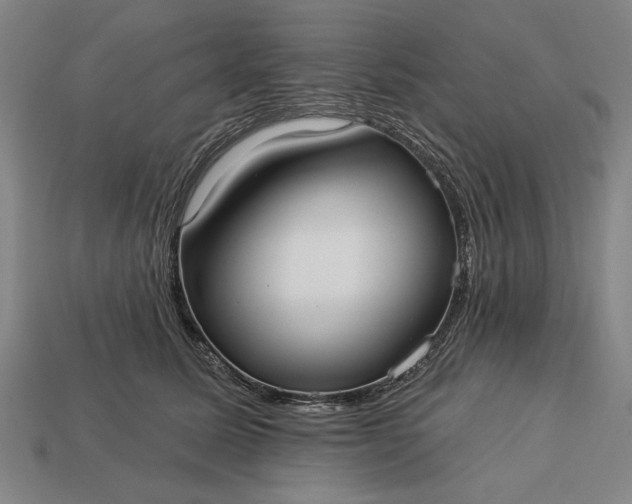 X0000113130611200909181711