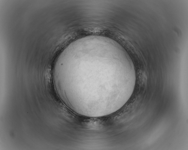 X0000113130612200909181711