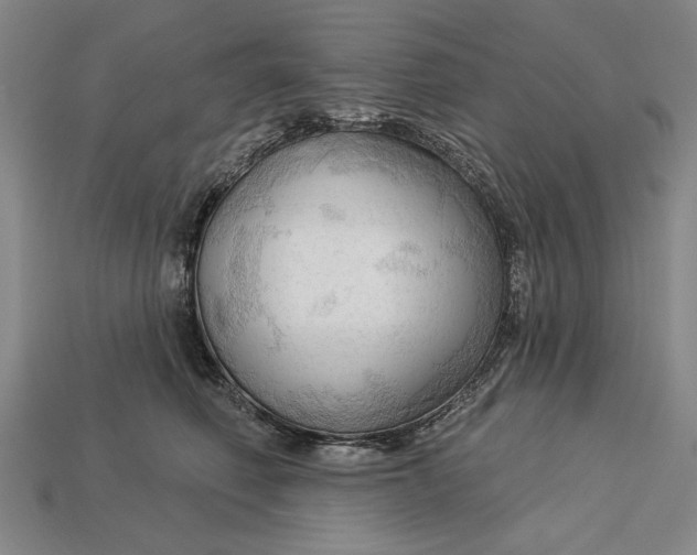 X0000113130614200909181711