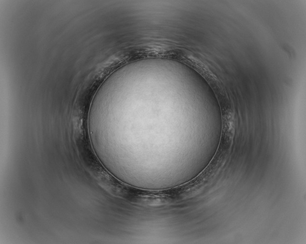 X0000113130615200909181711