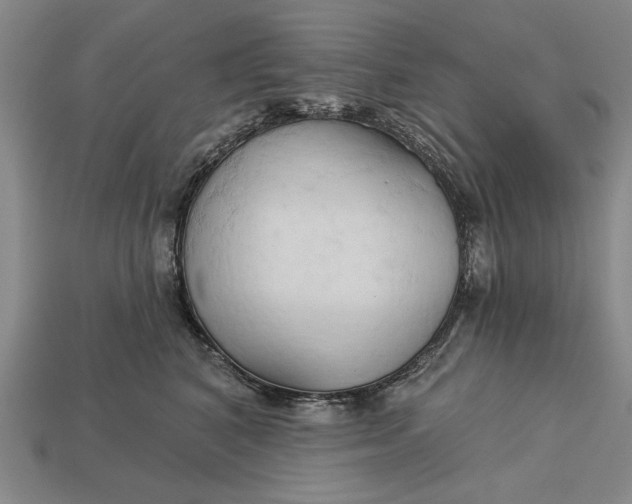 X0000113130616200909181711