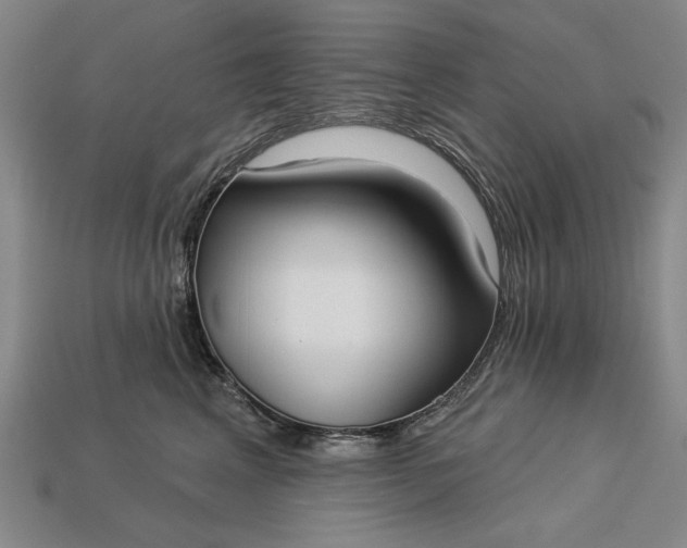 X0000113130617200909181711