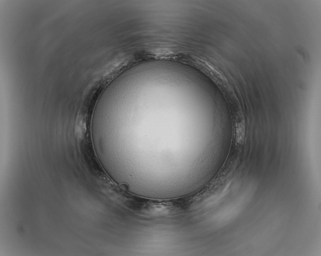 X0000113130618200909181711