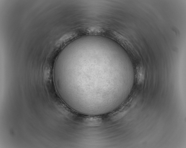 X0000113130619200909181711