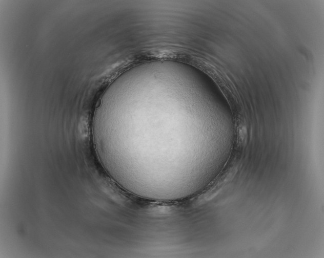 X0000113130620200909181710