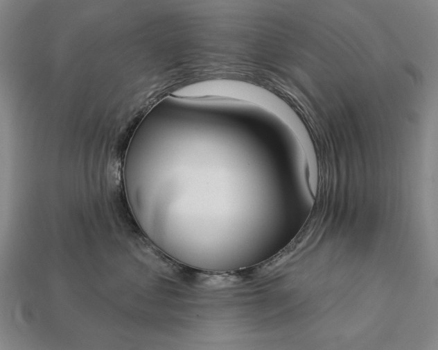 X0000113130621200909181710