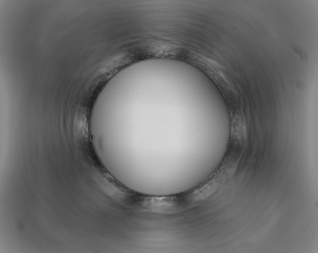 X0000113130622200909181710