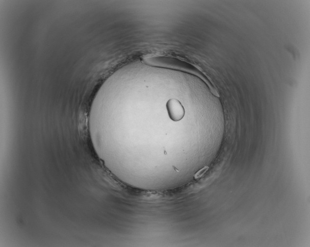 X0000113130624200909181710