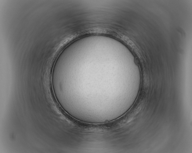 X0000113130625200909181710