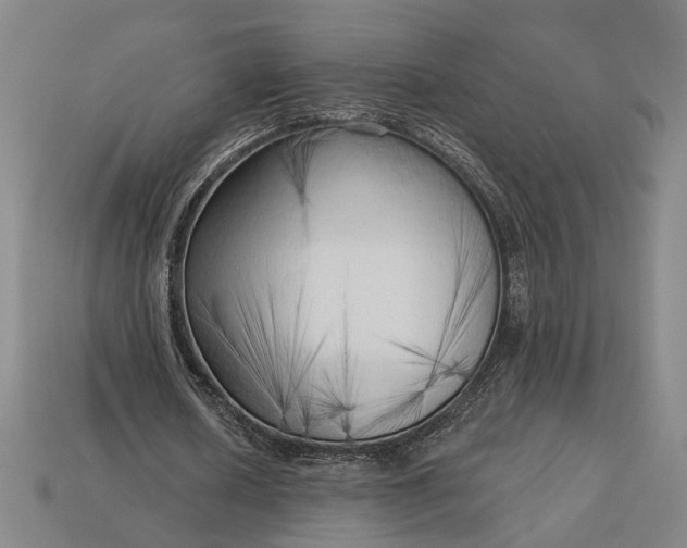 X0000113130626200909181710