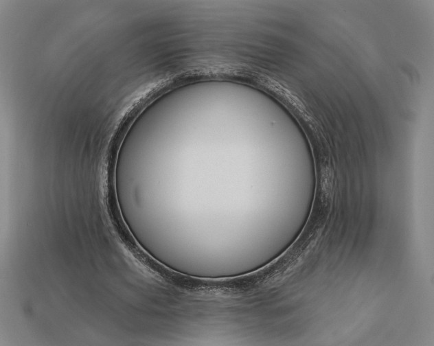 X0000113130629200909181710