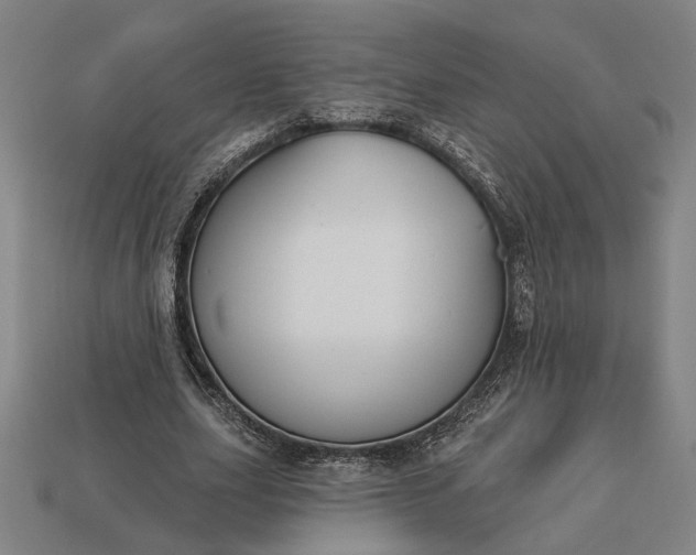 X0000113130631200909181710