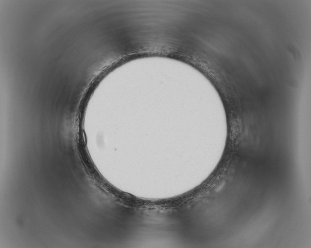 X0000113130632200909181710