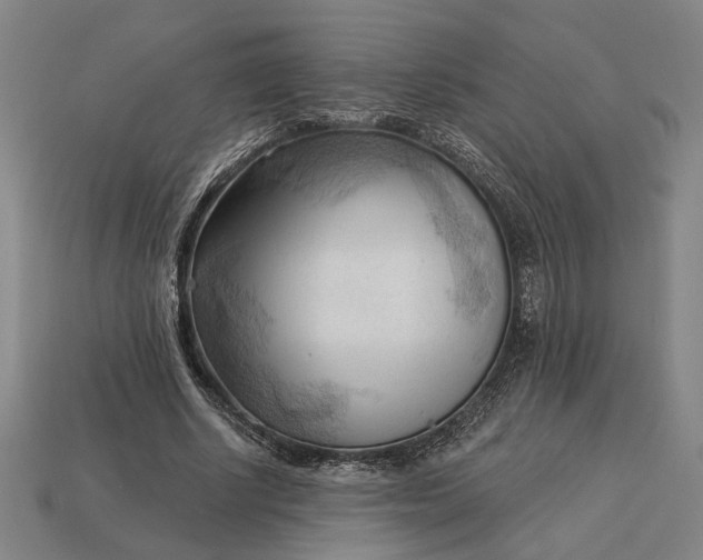 X0000113130634200909181710