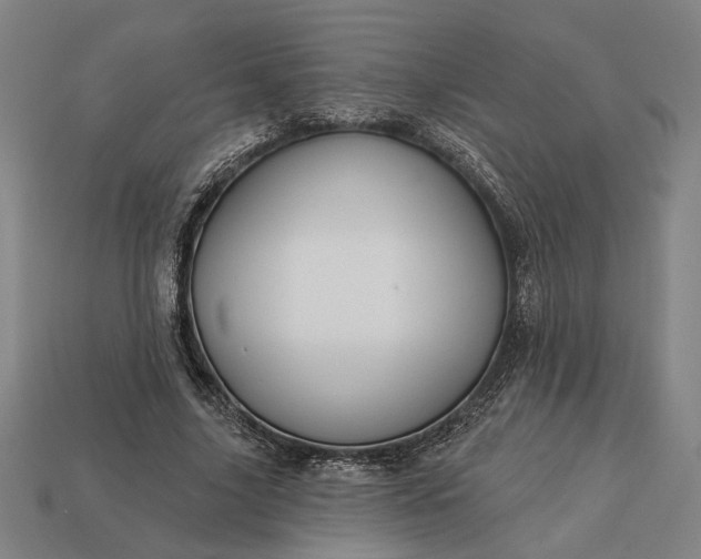 X0000113130635200909181710