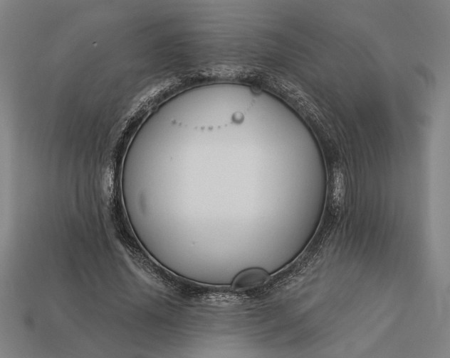 X0000113130636200909181710