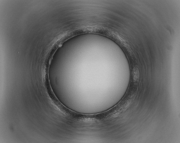 X0000113130637200909181710