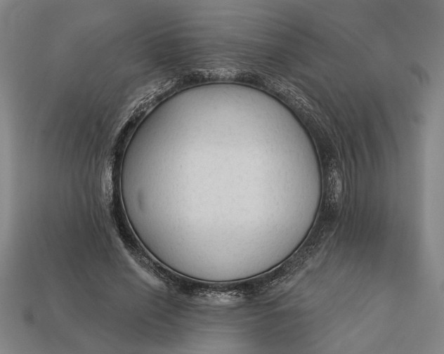 X0000113130638200909181710