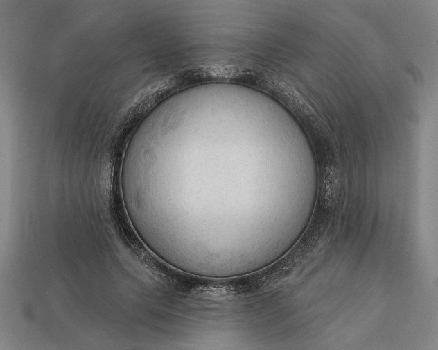 X0000113130639200909181710