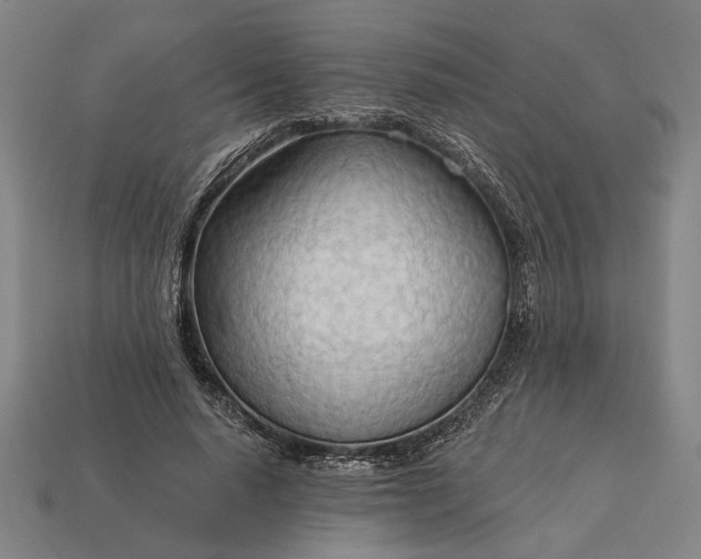 X0000113130640200909181710