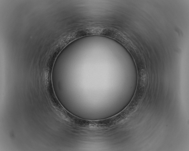 X0000113130641200909181710