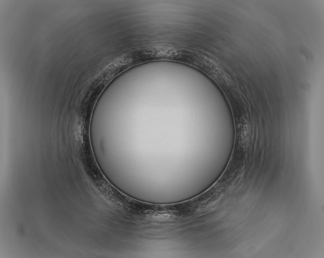 X0000113130643200909181710