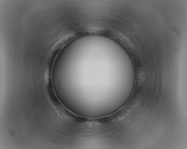 X0000113130644200909181710