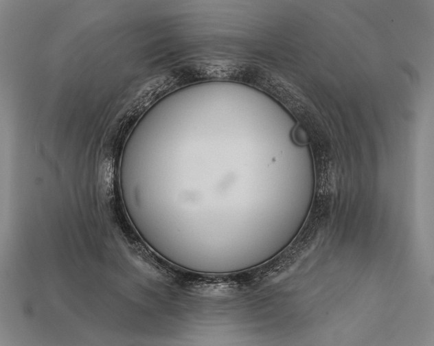 X0000113130646200909181710