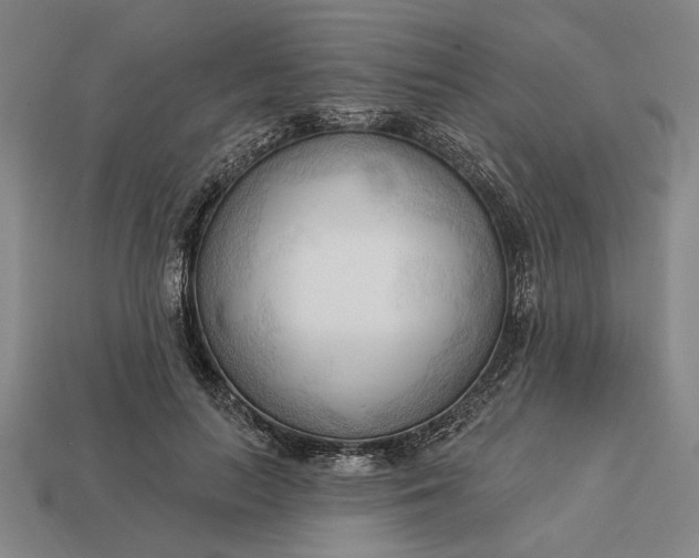 X0000113130647200909181710