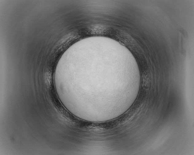 X0000113130648200909181710