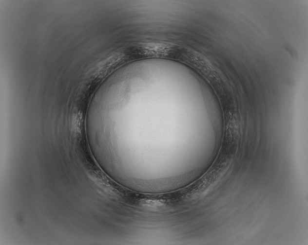 X0000113130649200909181710