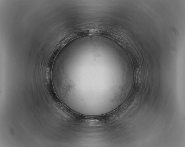 X0000113130650200909181710