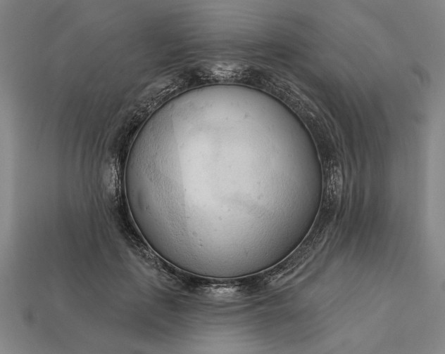 X0000113130651200909181710