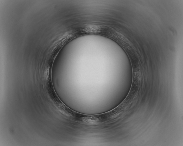 X0000113130652200909181710