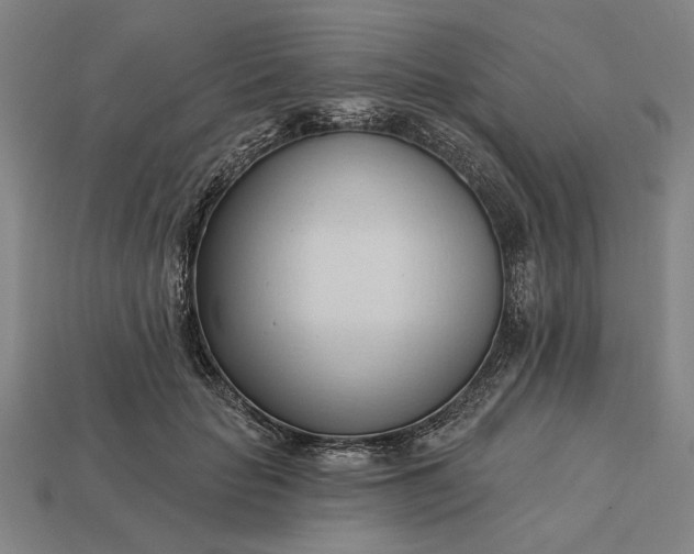 X0000113130653200909181710