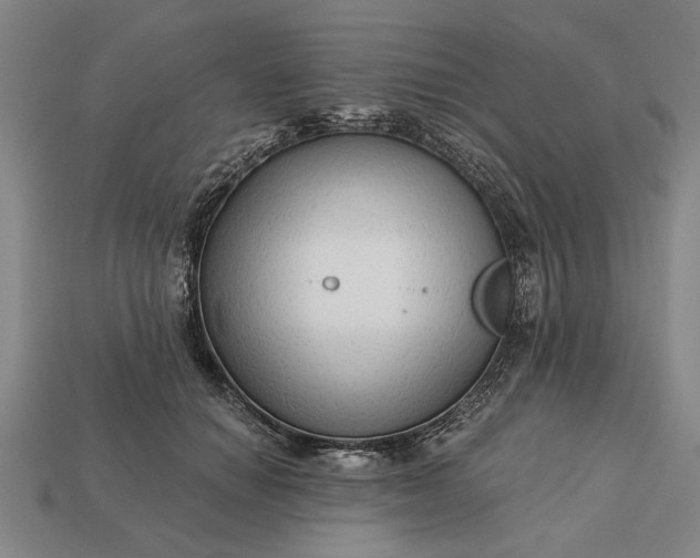 X0000113130654200909181710