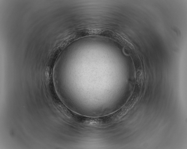 X0000113130655200909181710