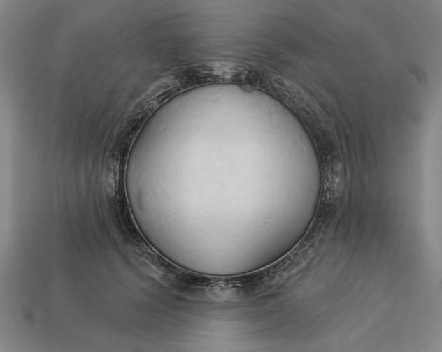 X0000113130656200909181710