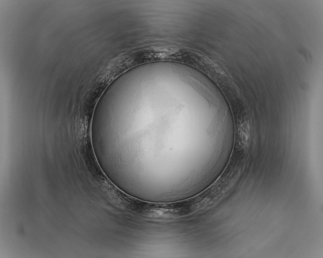 X0000113130657200909181710