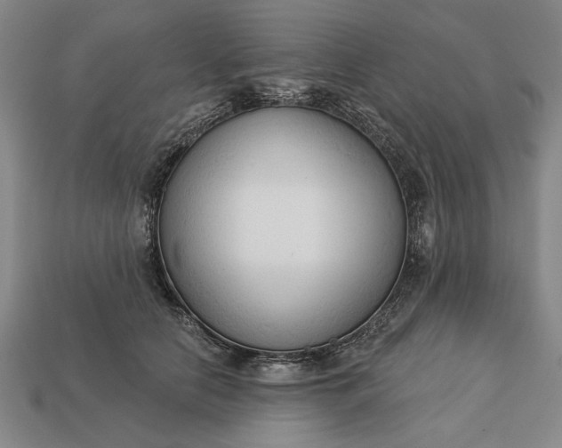 X0000113130658200909181710